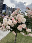 救急と内視鏡の現場で気づいた真理。呼吸と腸が人生を握っている。